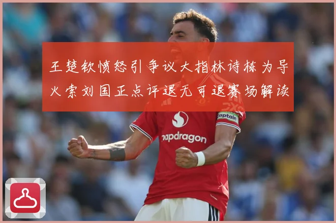 王楚钦愤怒引争议大指林诗栋为导火索刘国正点评退无可退赛场解读-深度解析
